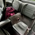 Seats Rear